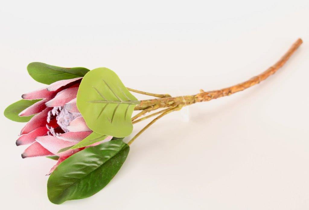 Medium Protea Stem